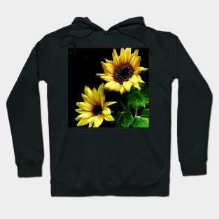 Sunflowers Hoodie
